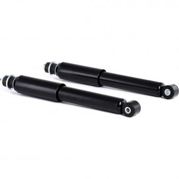 RIDEX 854S1966 Amortiguador, Set de 2