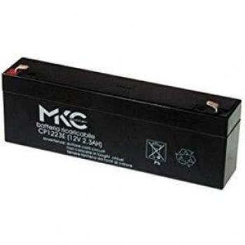 12V 2A Sealed Lead Acid Battery