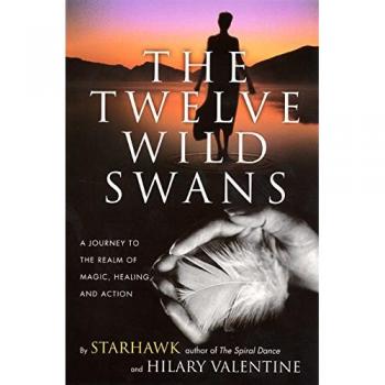The Twelve Wild Swans