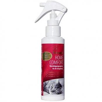 Felisept Higiene 1 Unidad 100 ml