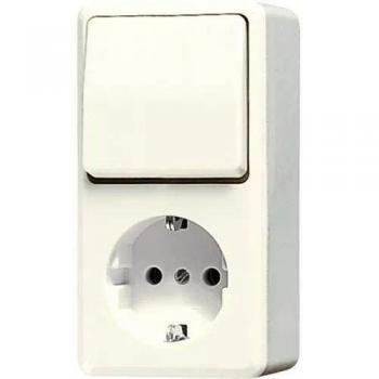 JUNG 676A Combination Wall Socket and Switch with Grounding - Cream White
