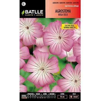 Semillas de Flores - Tuya del Canadá - Batlle
