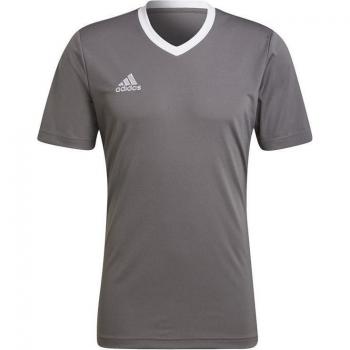 Camiseta adidas Entrada 22 Manga Corta Gris