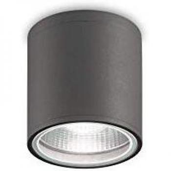 Spot Downlight Gun Aluminio Antracita 1 bombilla 11,5cm IP44, GU10