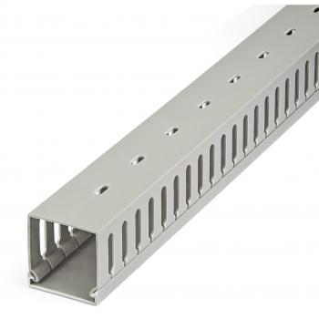 StarTech.com Open Slot Cable Management Raceway with Cover 2 (50mm) W x 2 (50mm) H - 6.5ft (2m) length - 1/4 (8mm) Slots PVC
