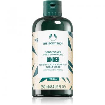 Acondicionador de Jengibre para Pieles Secas 250 ml