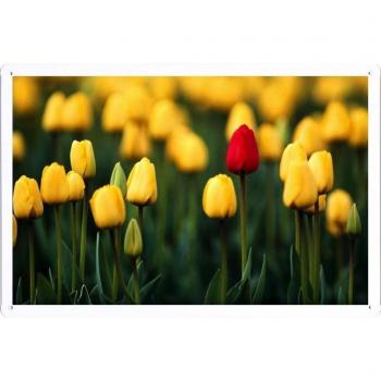 Metal cartel Cartel de chapa Hojalata sesión Flower Tin Sign Tulips Flowers Buds Many Herbs 23236 Retro Vintage Pared Decoración by hamgaacaan