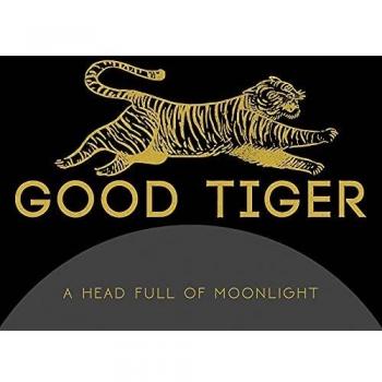 A Head Full Of Moonlight [VINYL]