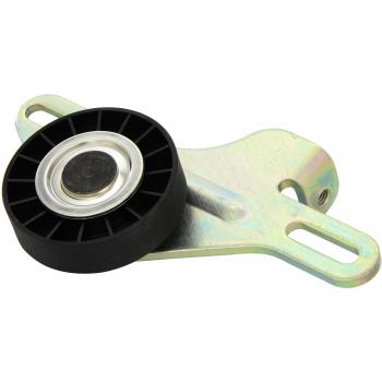 Triscan 8641 251002 Polea tensora, correa trapezoidal con dentado interior