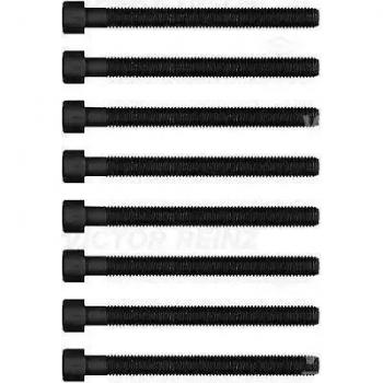 Juego de tornillos de culata REINZ 14-32380-01