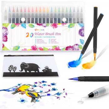 Rotuladores con punta Pincel, Fansteck 21 Rotuladores Acuarelables profesionales, Rotuladores de Lettering, Pincel de Agua con puntas flexibles, Watercolor Brush Pen para dibujar, caligrafía, colorear