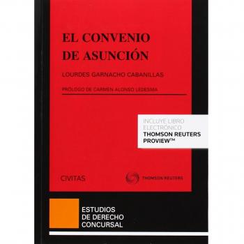 El convenio de asunción: 36