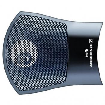 Sennheiser E 901 Micrófono de Instrumentos, color negro, diseño de condensador, polaridad cardioide, frecuencia de respuesta de 40 Hz a 20 kHz, sensibilidad de -50 dBV/Pa, ideal