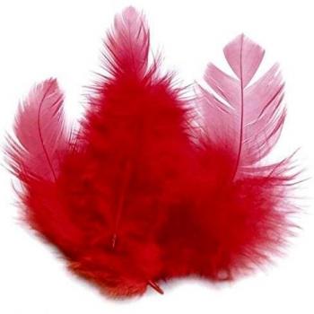 Sachet de Plumas de Gallo 3g Roja 10 cm - Calidad Artesanal