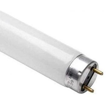 Osram L36W/840 - Lámpara