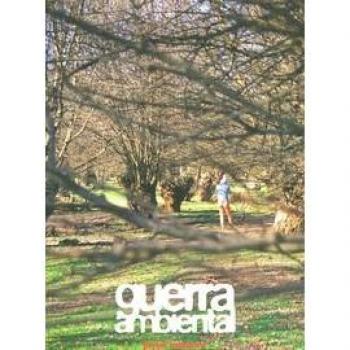 Guerra ambiental