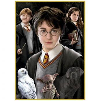 Puzzle Harry Potter Mini 1000 Piezas