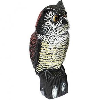 Biotop, Búho Espantapájaros, Gira la Cabeza con el Viento, No necesita Pilas, Marrón