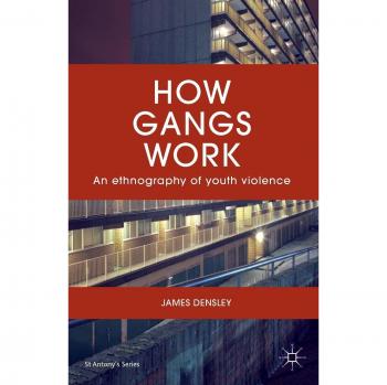 How Gangs Work: An Ethnography of Youth Violence