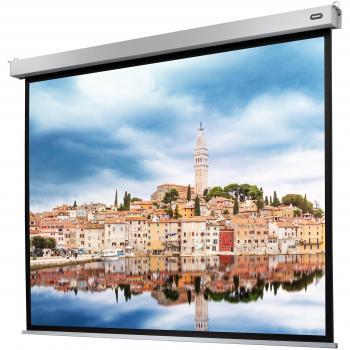 Celexon Electric Professional Plus Pantalla de Proyección Eléctrica 300x225 cm 4:3