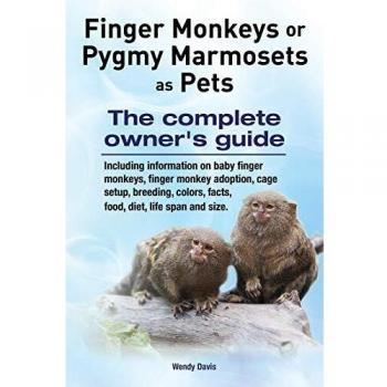 Finger Monkeys or Pygmy Marmosets as Pets. Including information on baby finger monkeys, finger monkey adoption, cage setup, breeding, colors, facts, food, diet, life span and size