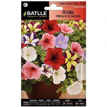 Semillas de Flores - Petunia Péndula de los Balcones - Batlle