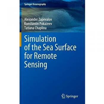 Simulation of the Sea Surface for Remote Sensing