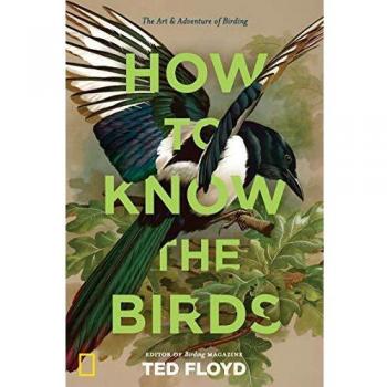 How to know the birds