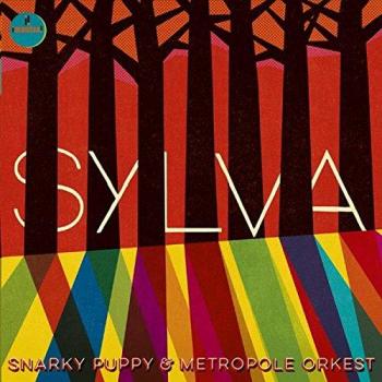 Sylva Vinyl Flooring - High Durability and Easy Installation
