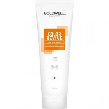 Goldwell - Champú Cobre Dualsenses Color Revive 250 ml