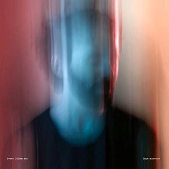 Impermanence VINYL