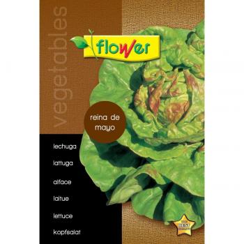 Sobre de semillas de lechuga
