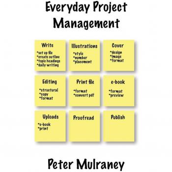 Gestión de Proyectos Cotidiana (Habilidades Empresariales Diarias, Volumen 1) - Peter Mulraney