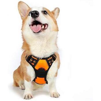 rabbitgoo Arnes Antitirones Perro Ajustable con Lineas Reflectantes Arnés Coche Perro Coche Adiesreamiento Arnes Perro Chaleco Transpirable con Asa Seguridad Mediano Naranja