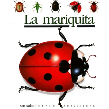 La mariquita: 1