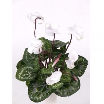 Ciclamen artificial con 7 flores en color blanco, 25 cm - Planta artificial / Flores decorativas - artplants