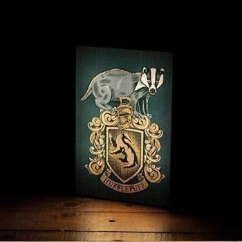 HARRY POTTER Luminart Hufflepuff 20X30 cm OFFICIAL BY Paladone