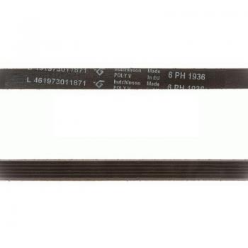 Correa Secadora 6PH 1936 (L461973011871)