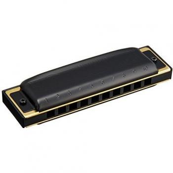 Hohner Pro Harp 20 Voice Richter Harmonica