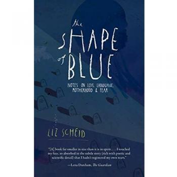 La Forma del Azul: Notas sobre Pérdida, Lenguaje, Maternidad y Miedo