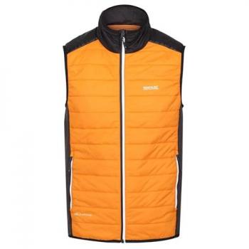 Regatta Men's Padded Water-Repellent Halton VII Gilet in Orange Pepper/Black, Size M