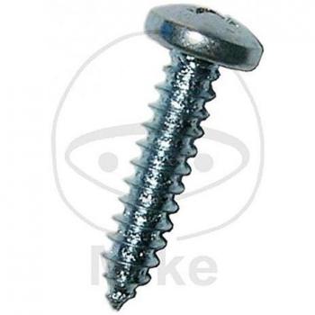 Tornillo para chapa Dresselhaus 6040/001/51 4,8x19 mm (100 unidades) - Galvanizado, cabeza plana