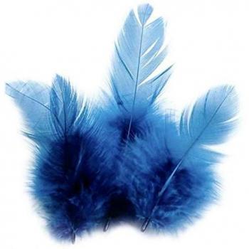 Sachet de Plumas de Gallo Turquesa 3g - Longitud 10 cm
