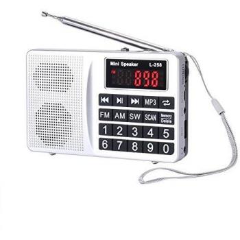 Prunus Radio portatile Sw/FM/Am