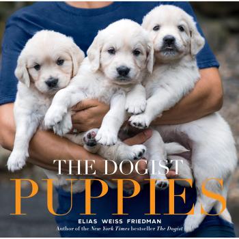 The The Dogist Puppies