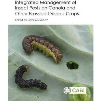 Integrated management of Insect Pests on Canola and other Brassica Oilseed Crops