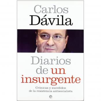 Diarios de un insurgente