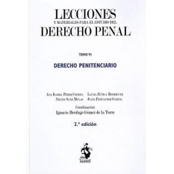 DERECHO PENITENCIARIO. Tomo VI