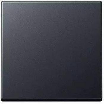 Tecla simple para interruptor pulsador antracita mate 7550103 Jung