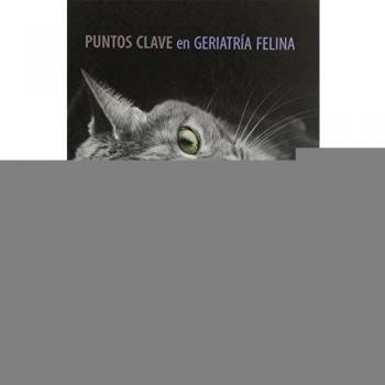Puntos clave en geriatría felina